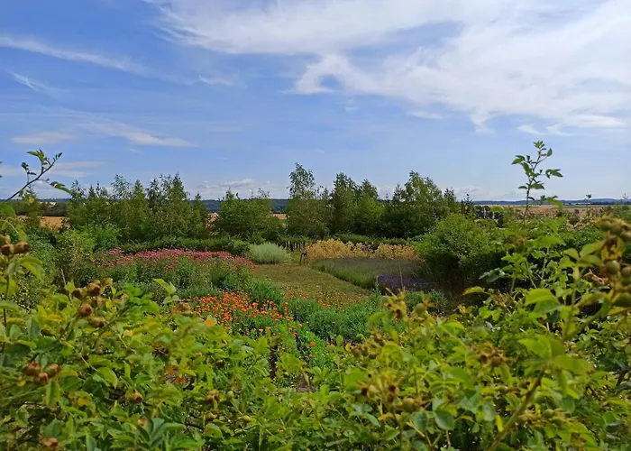 Aditisgarten 홈스테이 바트로다흐